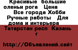 Красивые  большие оленьи рога › Цена ­ 3 000 - Все города Хобби. Ручные работы » Для дома и интерьера   . Татарстан респ.,Казань г.